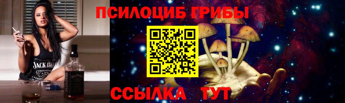 Заволжье  Галлюциногенные грибы Magic Shrooms  Вход с VPN  Галлюциногенные грибы прущие грибы 