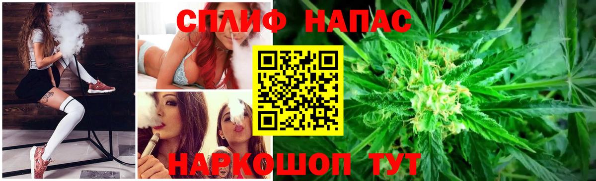 Шишки марихуана конопля Заволжье